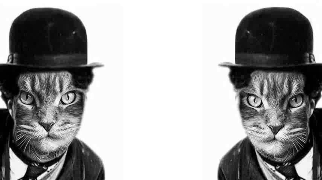 Hodge podge VIII Morphing