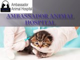 Ambassador Animal Hospital - Windsor Veterinarians