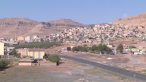 PKK Katletmeseydi, Derik Zeytinini Dünyaya Tanıtacaktı