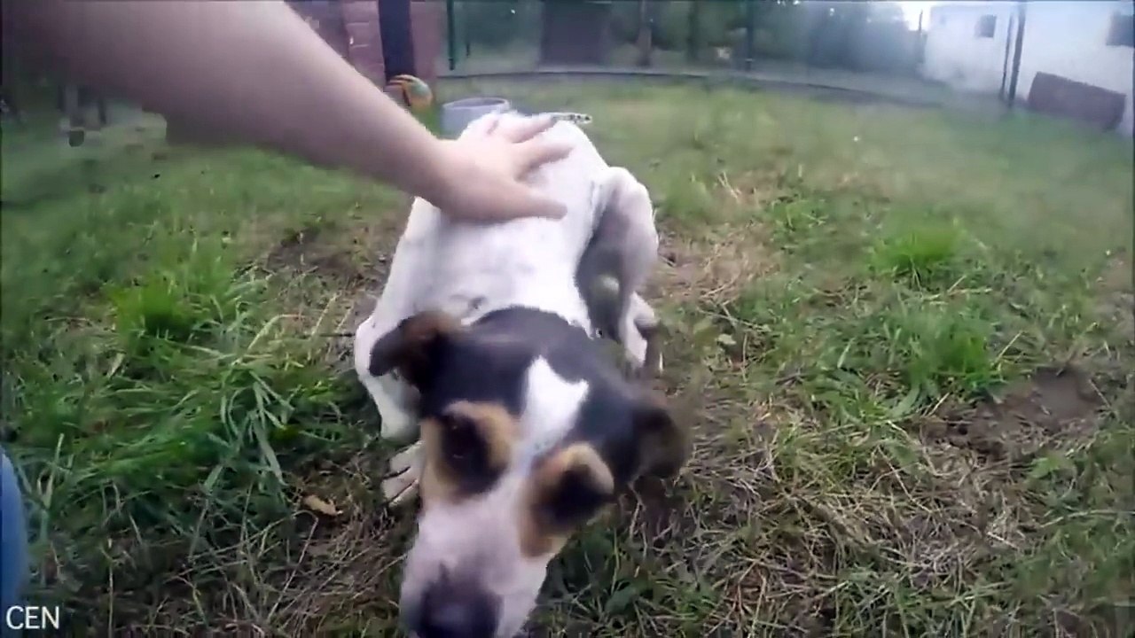Porta Ancora I Segni Di Una Vita Trascorsa In Gabbia, Ma La Sua Gioia Ci Scalda Il Cuore