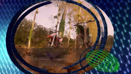 Aux couleurs de l'automne