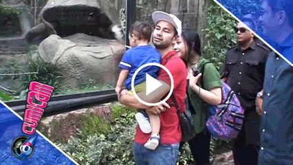 Raffi-Gigi Ajak Rafathar ke Kebun Binatang - Cumicam 11 November 2016