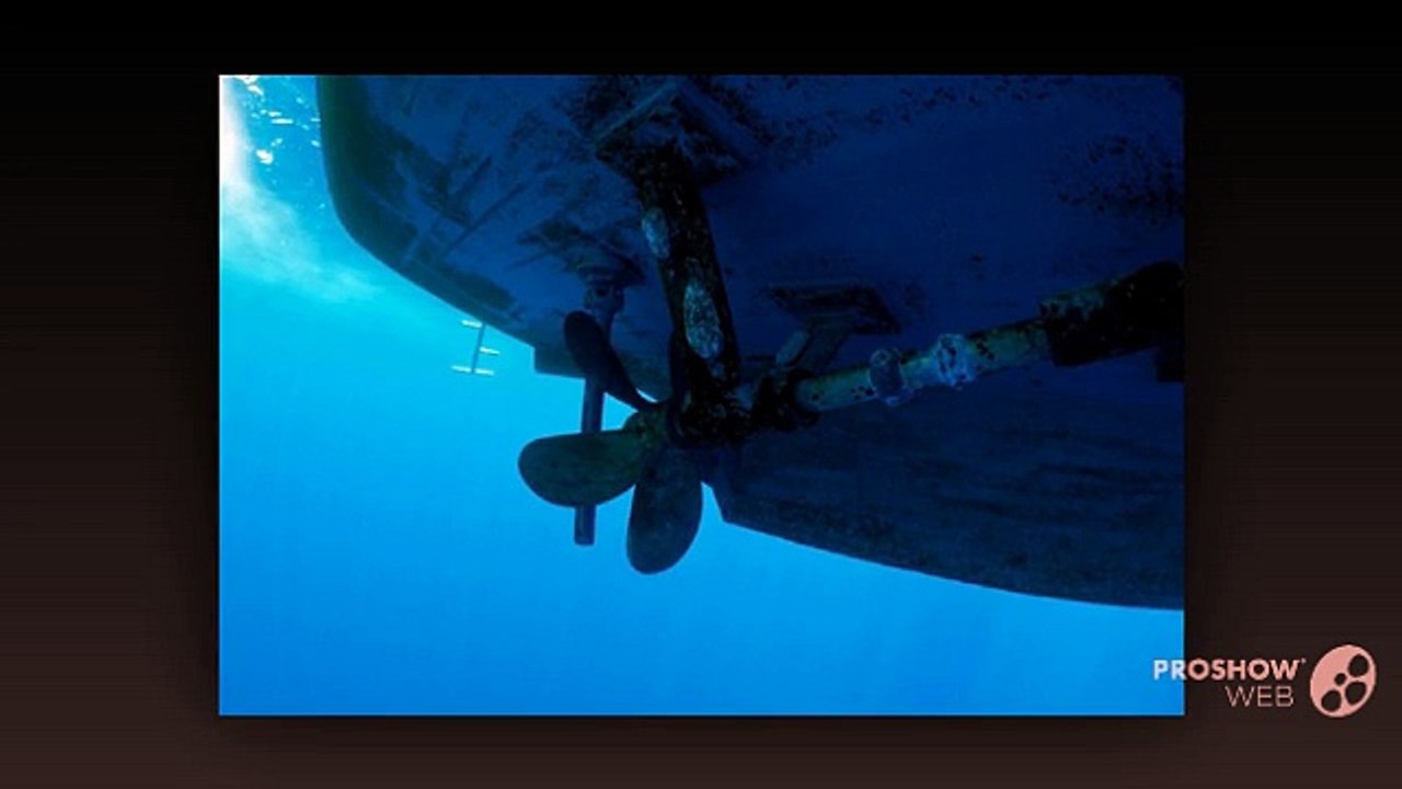 Why Hiring Professionals for Boat Bottom Cleaning is Important