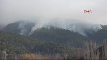 Tokat'ta Orman Yangını Kontrol Altına Alındı