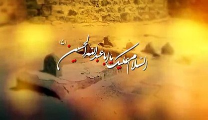 Bhai Bhai Pukarti Rahi Main - Mir Hasan Mir - New Nohay 2016-17