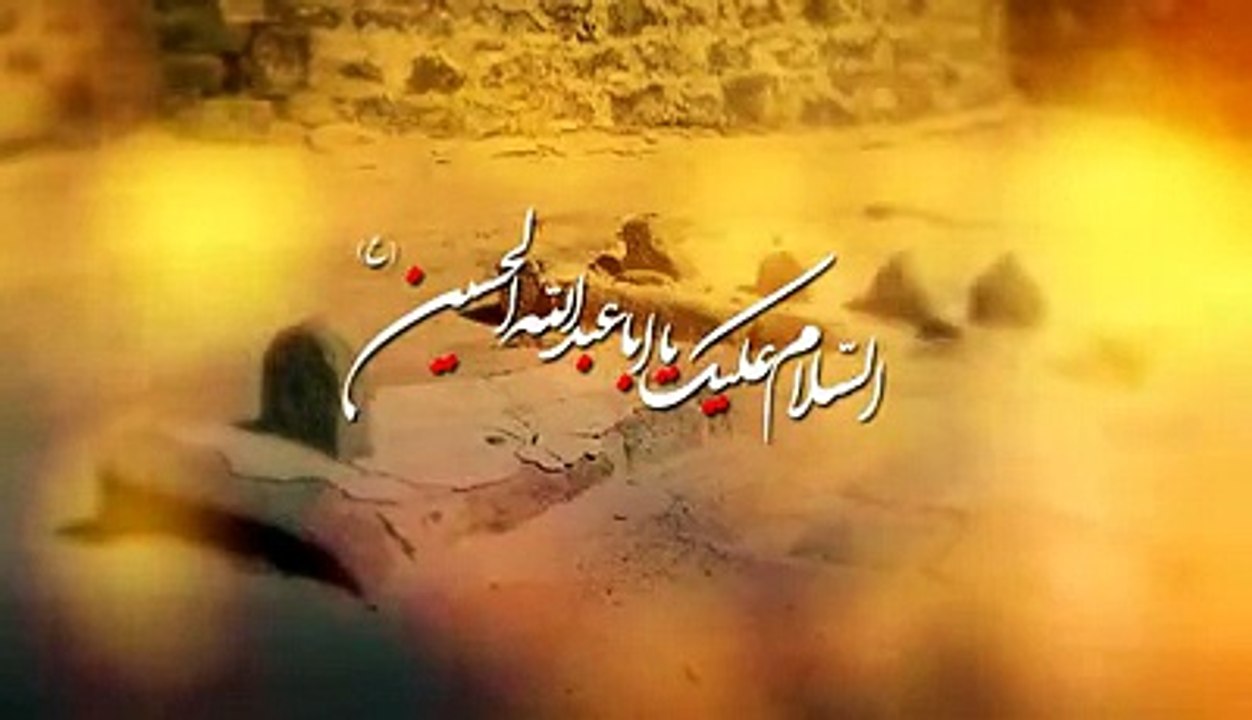 Bhai Bhai Pukarti Rahi Main - Mir Hasan Mir - New Nohay 2016-17