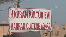 Harran'ın Konik Kubbeli Evleri Sığınmacılara Yuva Oldu