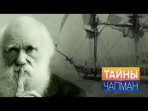 Тайны Чапман. Тайны теории Дарвина