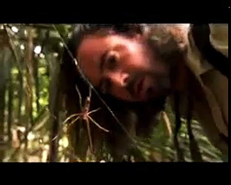 National geographic theme song -This is who we are(hindi version)