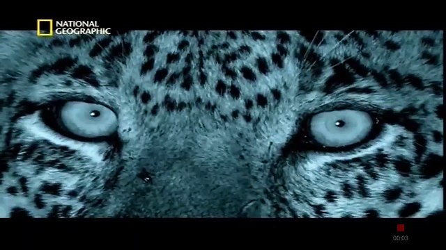 Gir Forest National Park Hindi Discovery Channel Documentary National Geographic