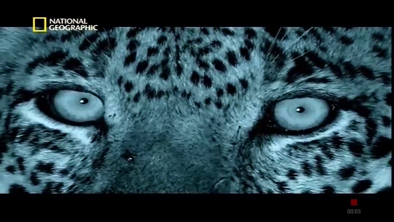 Gir Forest National Park Hindi Discovery Channel Documentary National Geographic