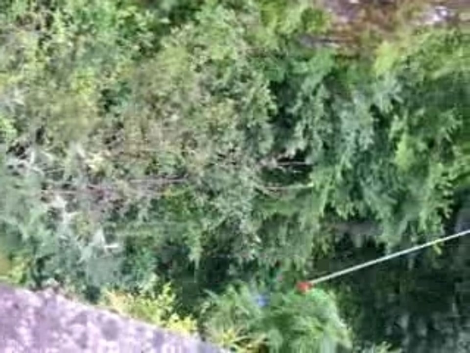 mika enterrement de vie de garçon