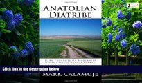 Books to Read  Anatolian Diatribe: Dark Thoughts on Modernity While Cycling Across Turkey, or What