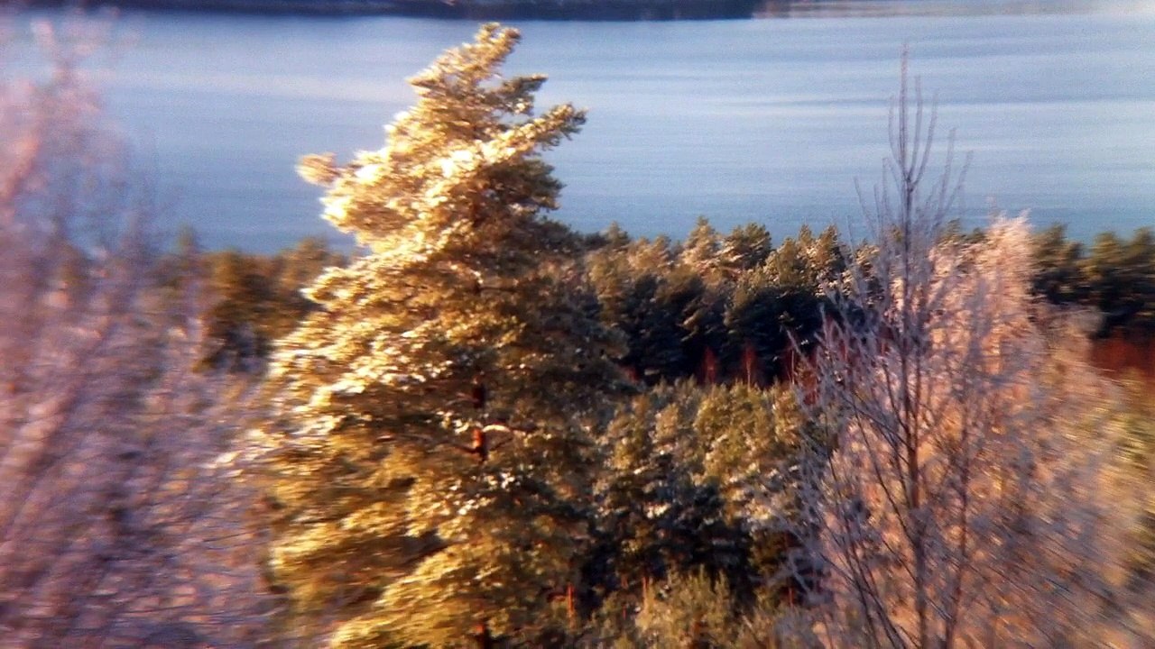 Nov 11 2016 4