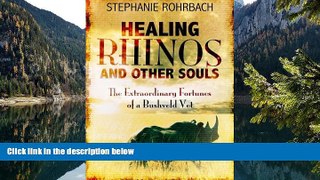 Deals in Books  Healing Rhinos and Other Souls: The Extraordinary Fortunes of a Bushveld Vet  READ