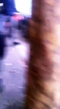 Autobuzi i linjes Paskuqan-Tirane perplas 4 makina 1