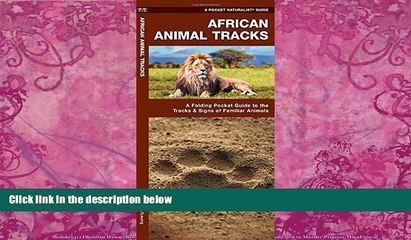 Big Deals  African Animal Tracks: A Folding Pocket Guide to the Tracks   Signs of Familiar Species