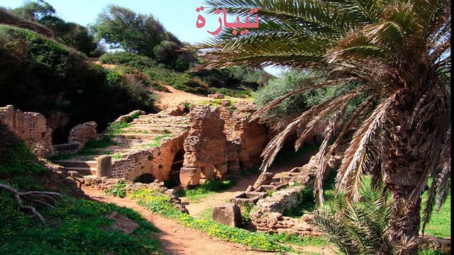 فيديو رائع يقارن بين جمال الطبيعة بكل من المغرب والجزائر