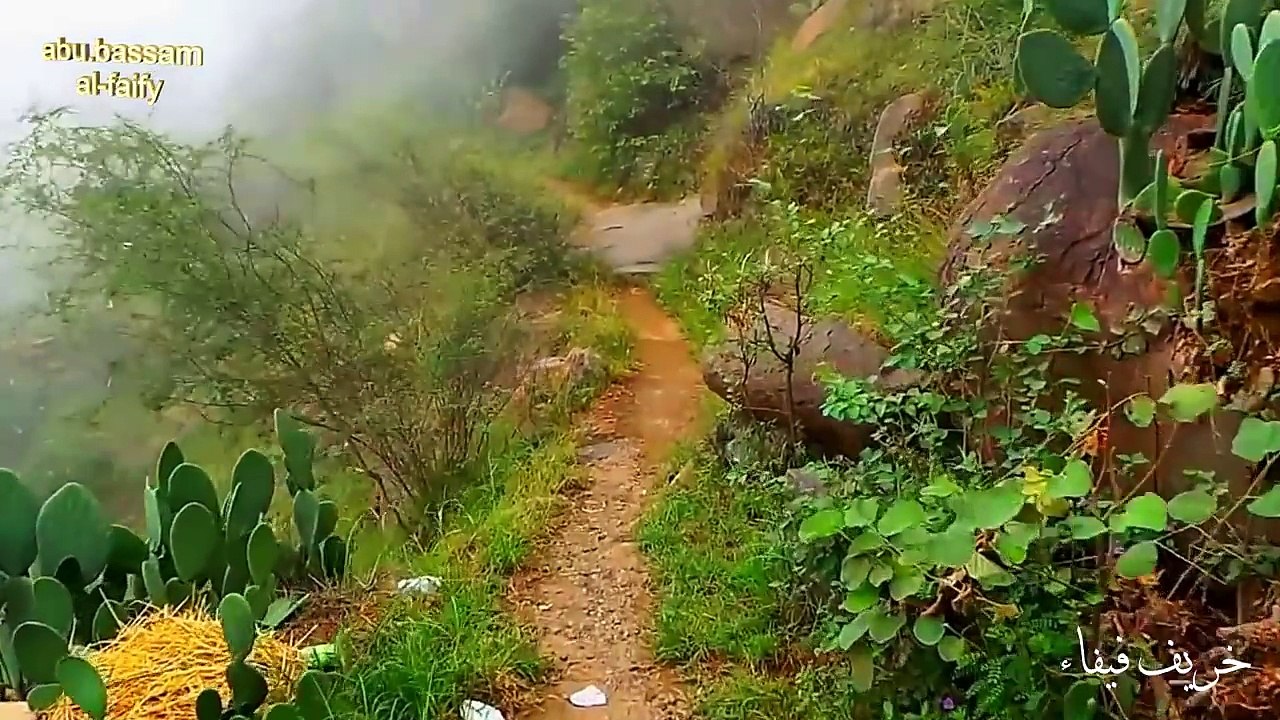 ممشى رائع في طبيعة خلابة غرب فيفاء phantom#