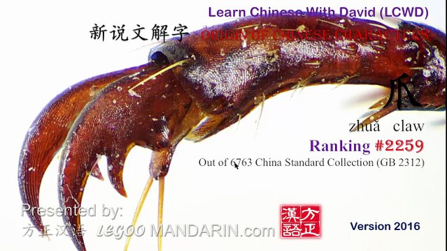 Origin of Chinese Characters - 2259 爪 zhuǎ claw - Learn Chinese with Flash Cards
