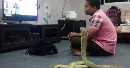 Ölen Sevgilisinin Kobra Olarak Tekrar Doğduğuna İnanıyor