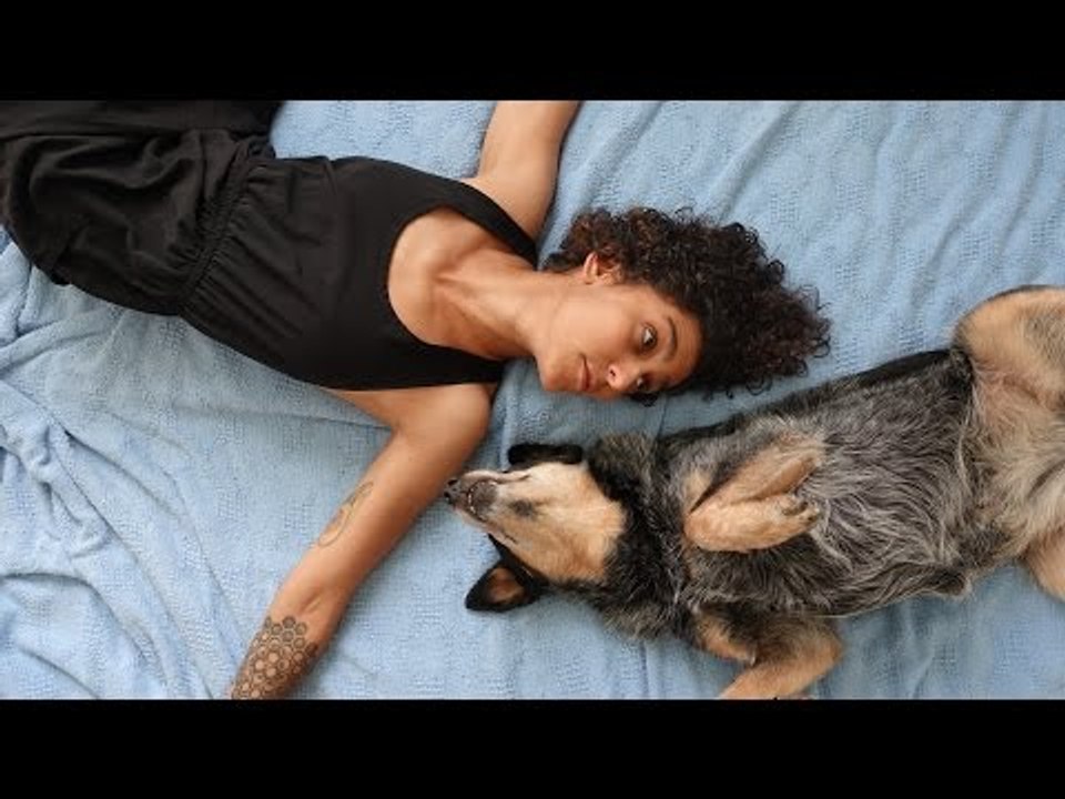 Time-Lapse Shows Dog Patiently Waiting 7 Hours for Owner