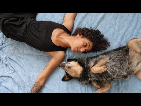 Time-Lapse Shows Dog Patiently Waiting 7 Hours for Owner