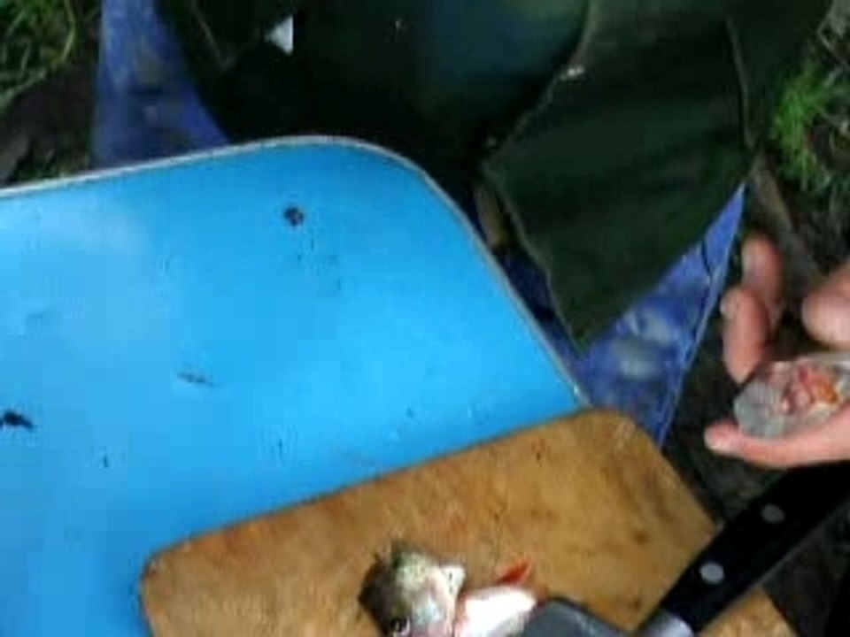 pélère en eau douce2