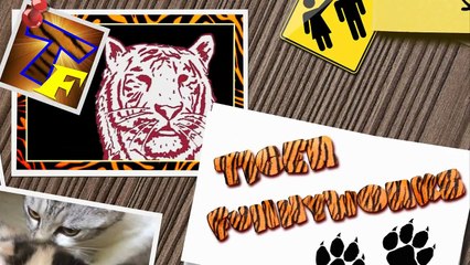 Hilarious stupid funny fail compilation 2016