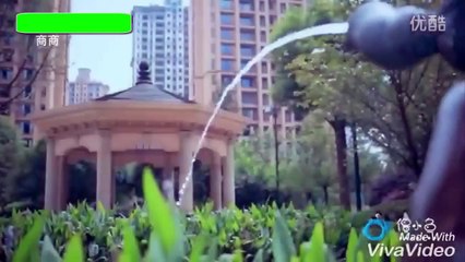 Gọi Tôi Là Cương Tiểu Ngư - Cương Thi Nhỏ Đáng Yêu Tập 2