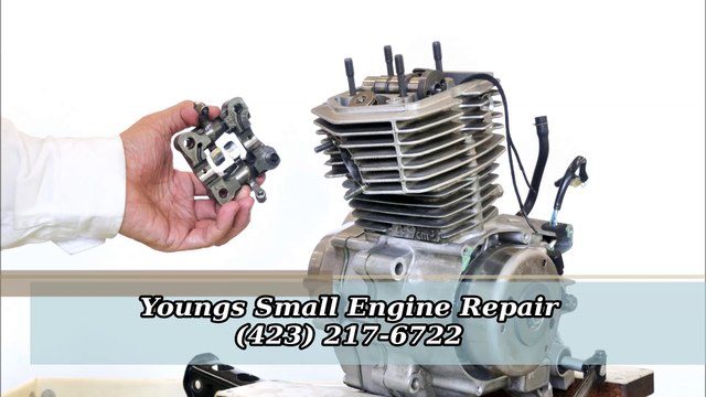 Youngs Small Engine Repair - (423) 217-6722