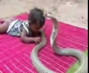 World Best Funny Amazing Animals show comedy Videos