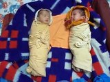 Twin babies - Laughing Talking Crying Sleeping