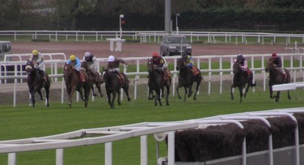 Toulouse : le traditionnel Quinté+ du 11 novembre à l'hippodrome de la Cépière