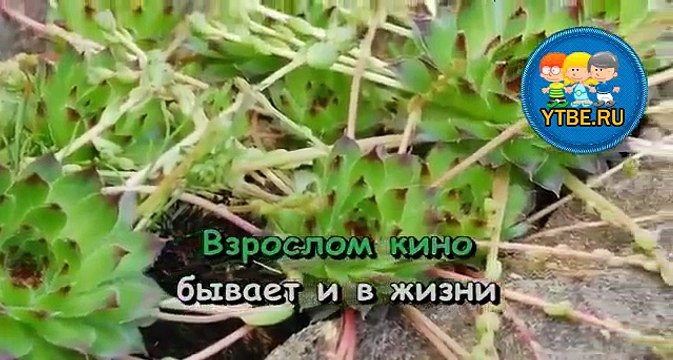 Караоке для детей. Дуэт Короля и Анжелы Из кинофильма КорольОлень. Детские песни