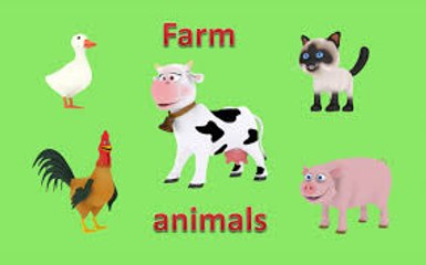 Farm animals for children toddlers. 3D animated picture show. Cartoons for babies. Learn English.