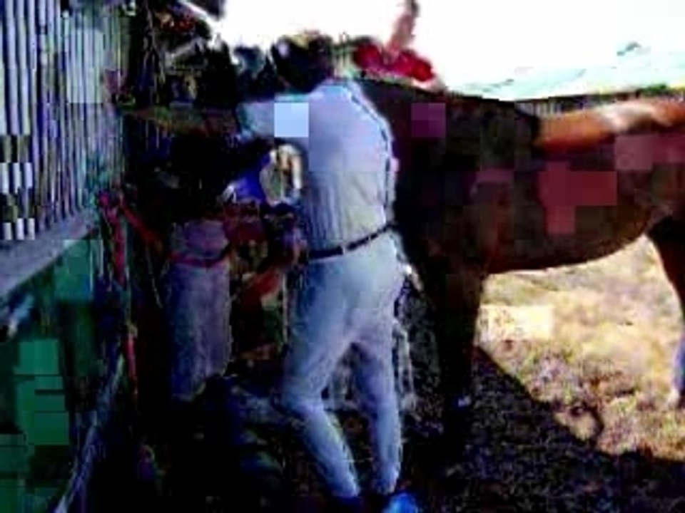 Lamotte-Beuvron 2007 Top Model