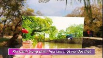 Mây Họa Ánh Trăng