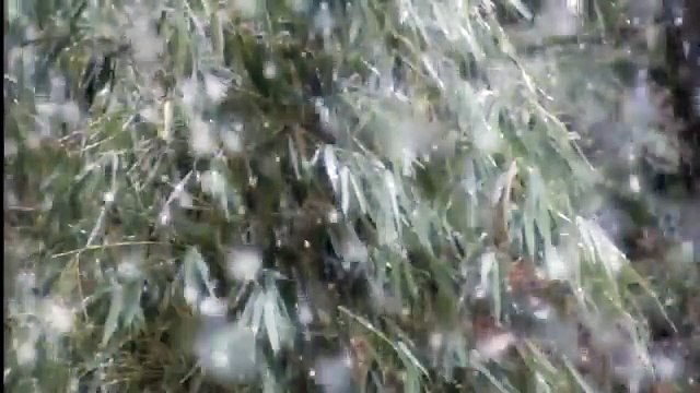 Под Новый Год. Детские новогодние песни. Непоседы.