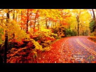 Emisiunea Radio-Tv Arthis din 11.11..2016/P2/ro.