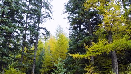 Super Cool Ice Cave In China Will Stay Frozen Forever