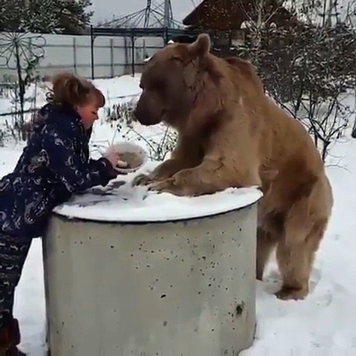 Woman Feed, Rubs, and Kisses Grizzly Bear! (2016)