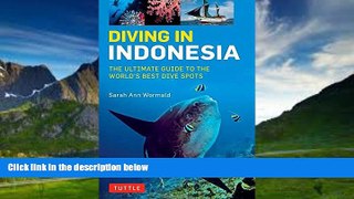 Big Deals  Diving in Indonesia: The Ultimate Guide to the World s Best Dive Spots: Bali, Komodo,