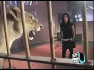 A Girl Accept Lion Dare In Waqar Zaka Show (Daring Act)