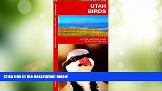 Big Sales  Utah Birds: A Folding Pocket Guide to Familiar Species (Pocket Naturalist Guide