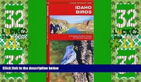 Big Sales  Idaho Birds: A Folding Pocket Guide to Familiar Species (Pocket Naturalist Guide