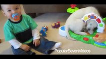 Bebeklerin Sevimli Kedi ve Köpeklerle Oynama Videoları - Komik Videolar 2015