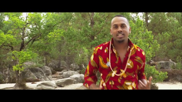 Colonel Reyel - En Manque de Toi (Clip Officiel)