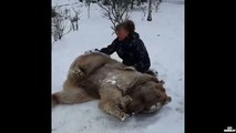 Une nana fait un gros câlin à un ours