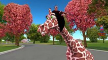 Finger Family Giraffe Cartoon Nursery Rhymes | Giraffe 3D Animation Songs for Children